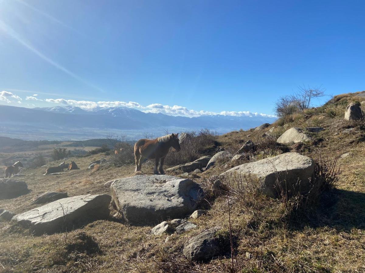 Gite Des Ours Осежа Экстерьер фото